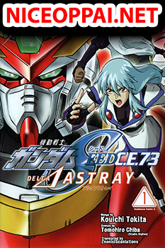 Gundam SEED C.E.73 DELTA ASTRAY